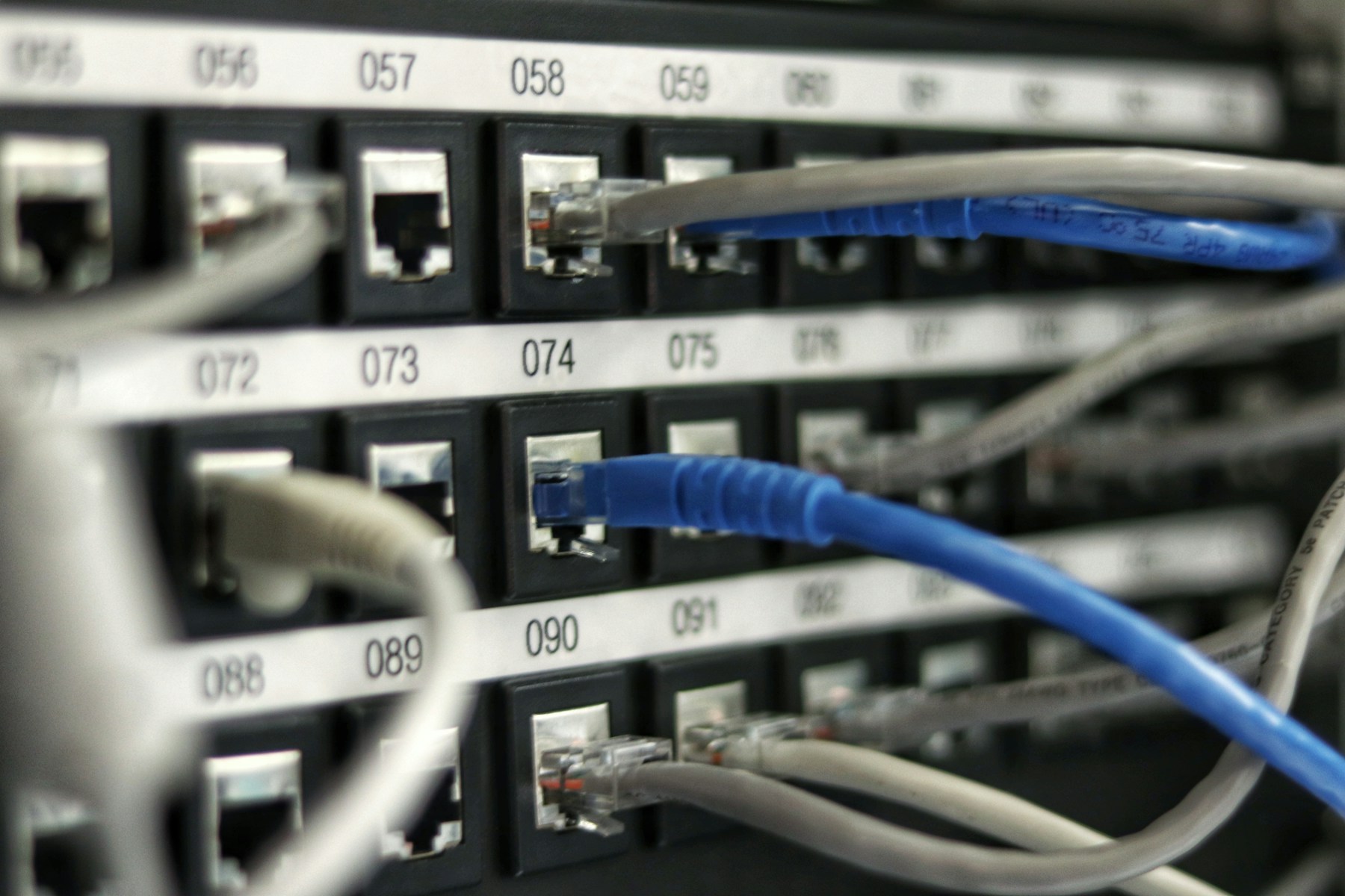 Close-up of Ethernet patch panel ports with connected network cables.